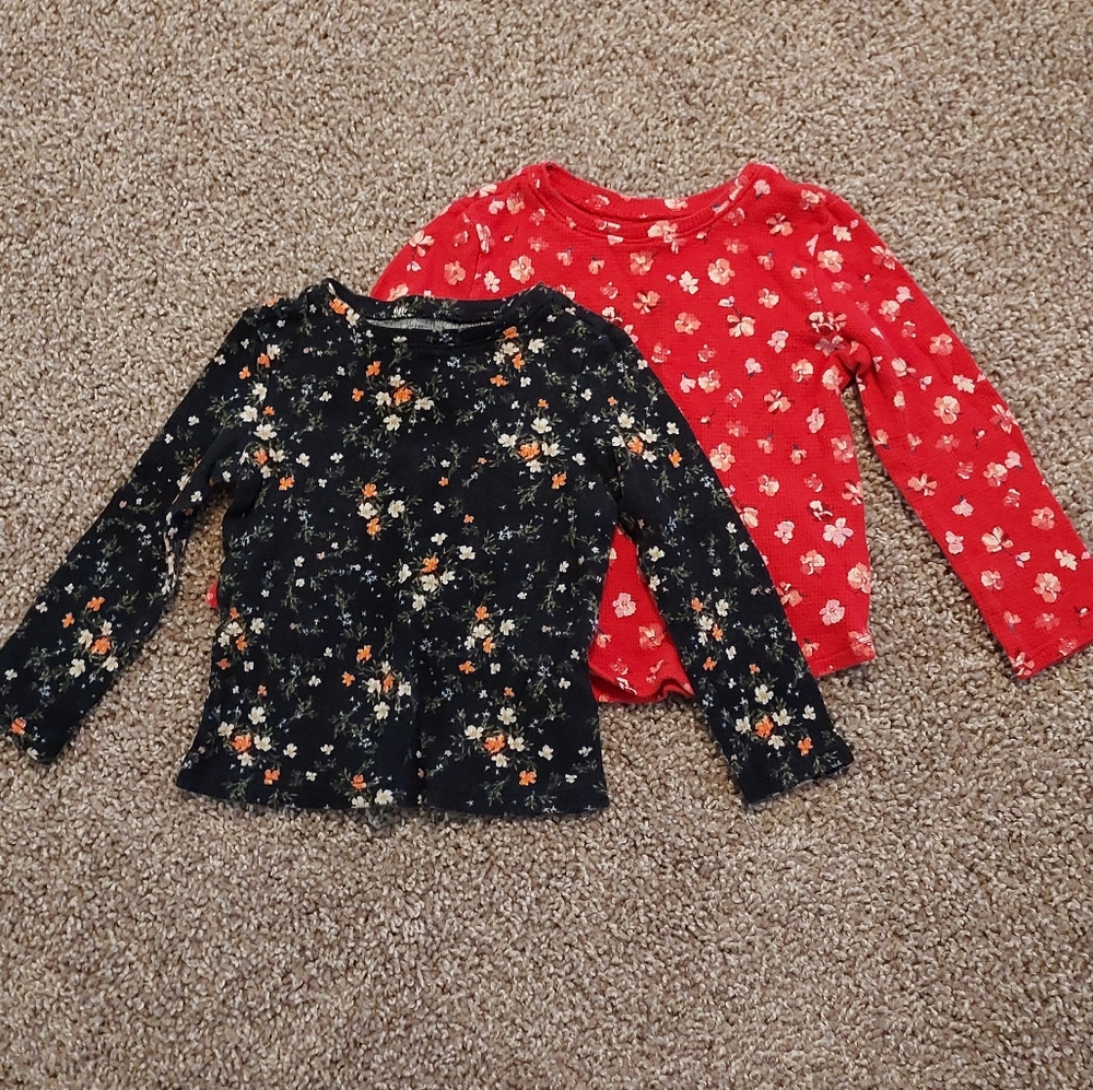 2 Shirt DEAL | LongSleeve Floral Shirts 2T